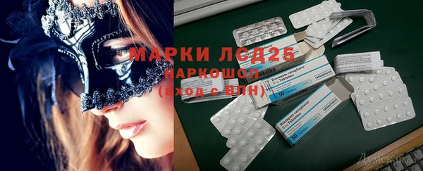ГАЛЛЮЦИНОГЕННЫЕ ГРИБЫ Арсеньев